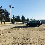 Cosmopolita Verde